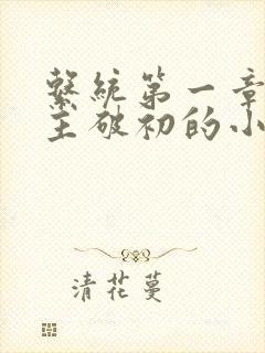 系统第一章给宿主破初的小说