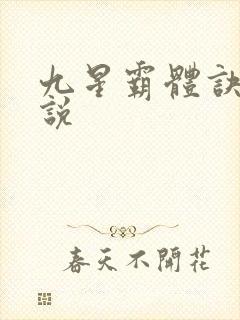 九星霸体诀 小说