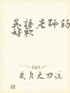 英语老师的兔子好软