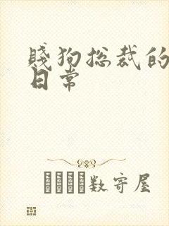 贱狗总裁的私教日常