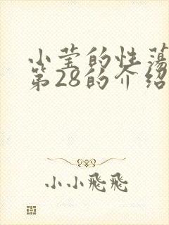 小莹的性荡生活第28的介绍