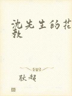 沈先生的花式调教