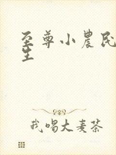 至尊小农民王木生