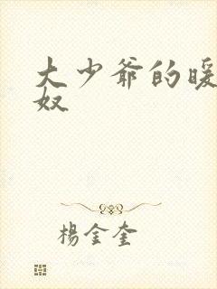 大少爷的暖床小奴