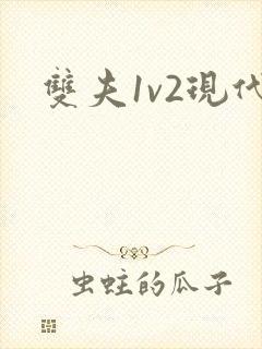 双夫1v2现代