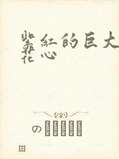 紫红的巨大顶开花心