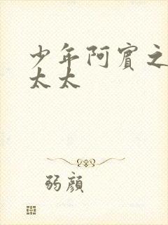 少年阿宾之房东太太