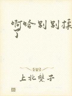 啊哈别别揉那处了