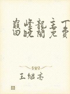 巅峰龙主丁长顺田晓兰免费阅读