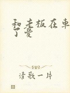 和老板在车里做了爱