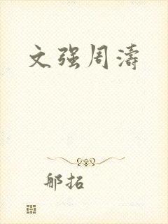 文强周涛