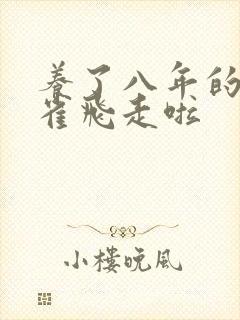 养了八年的金丝雀飞走啦