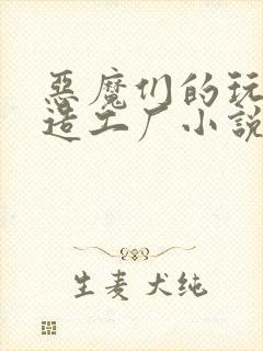 恶魔们的玩具改造工厂小说