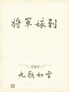 将军嫁到