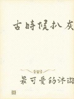 古时候扒灰小说