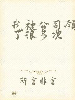 我被公司领导C了很多次