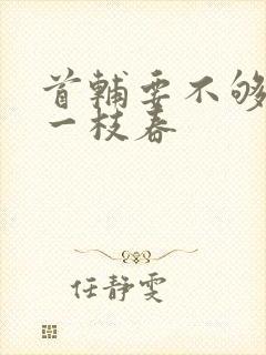 首辅要不够po一枝春