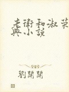 老卫和淑荣的经典小说