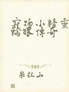 宠物小精灵之写轮眼传奇