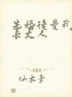 先婚后爱我的市长大人