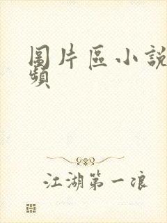 图片区小说区视频