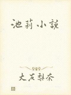 池莉小说