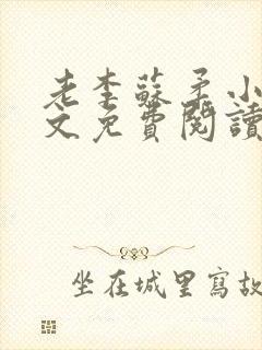 老李苏柔小说全文免费阅读