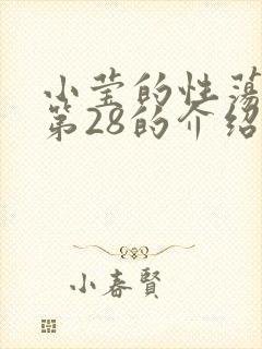 小莹的性荡生活第28的介绍