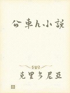 公车h小说