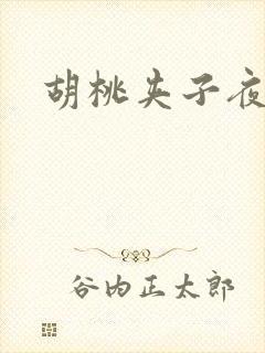 胡桃夹子夜未眠