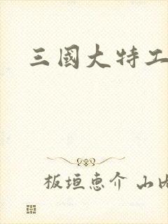 三国大特工