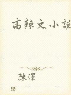 高辣文小说