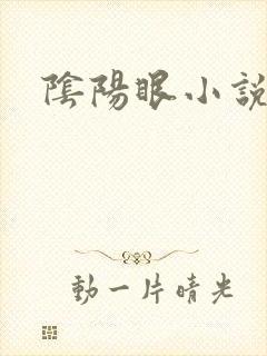 阴阳眼小说