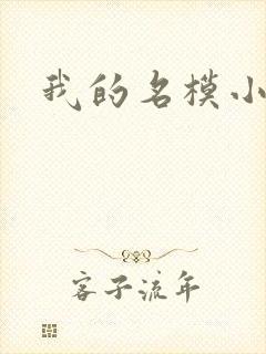 我的名模小娇妻
