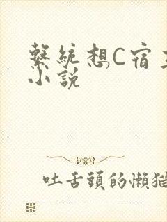 系统想C宿主的小说