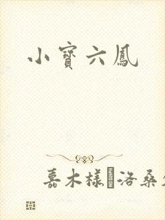 小宝六凤