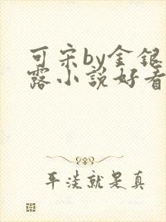 可宋by金银花露小说好看吗