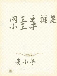 网王之谁是我的小王子