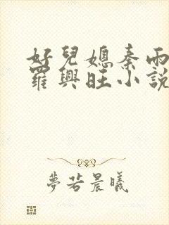 好儿媳秦雨罗明罗兴旺小说