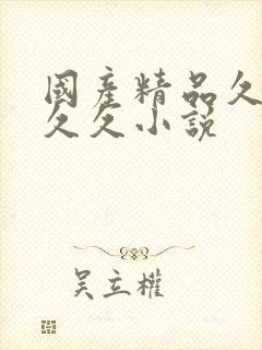 国产精品久久久久久小说