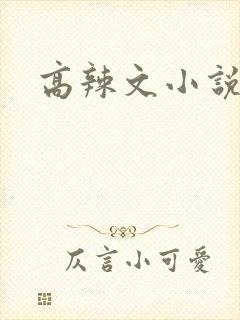高辣文小说
