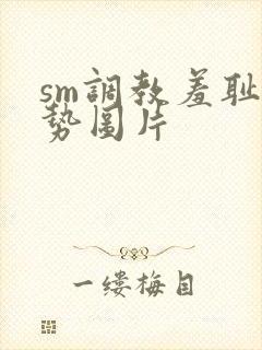 sm调教羞耻姿势图片