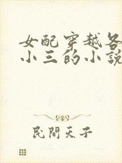 女配穿越各个做小三的小说