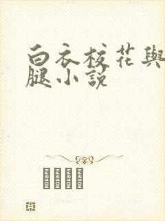 白衣校花与大长腿小说