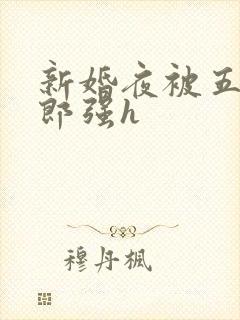 新婚夜被五个伴郎强h