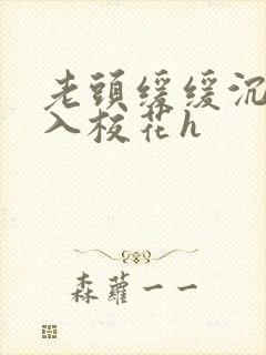 老头缓缓沉腰进入校花h