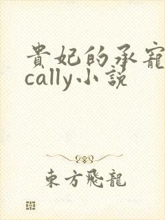 贵妃的承宠日常cally小说