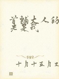 首辅大人的白月光是我