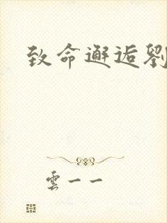 致命邂逅刘小寐