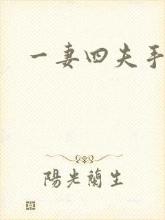 一妻四夫手记